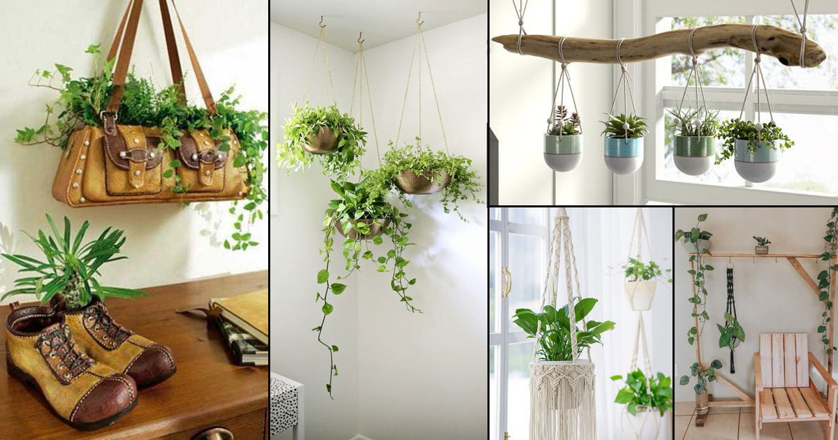 7 Creative Ways to Display Hanging Plants