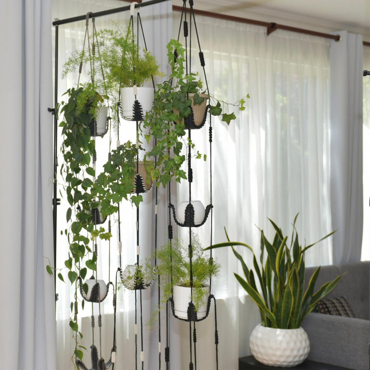 7 Creative Ways to Display Hanging Plants