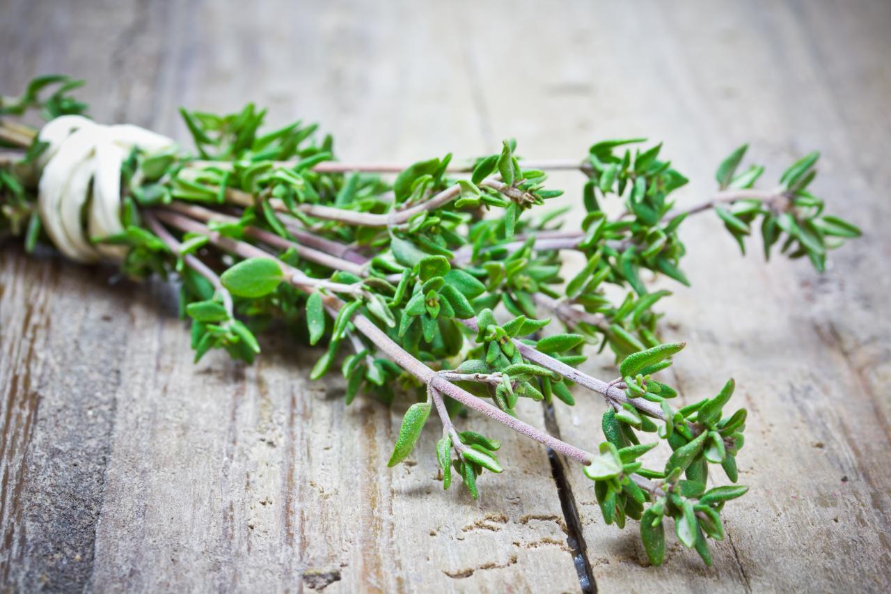 Thyme Piece: The Herb That Takes Your Cooking to New Heights