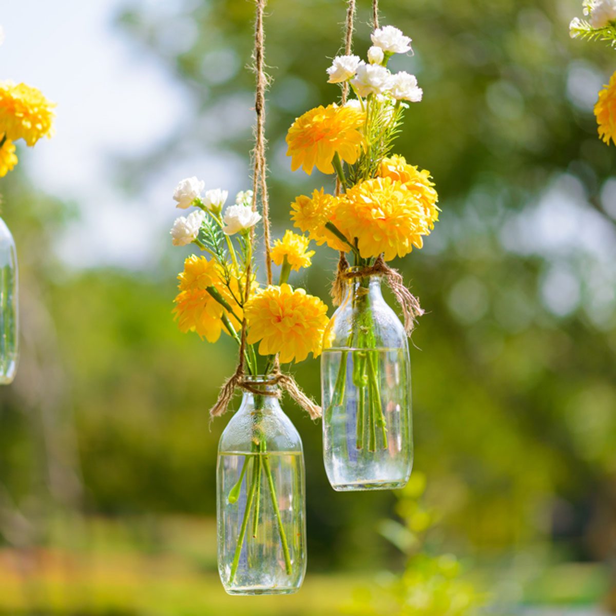 Hanging plant decoration creative ideas unique designs futuristarchitecture source